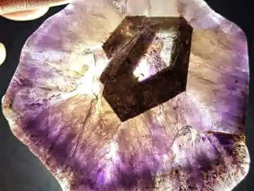 Terrapin Staton Sober Living NFP